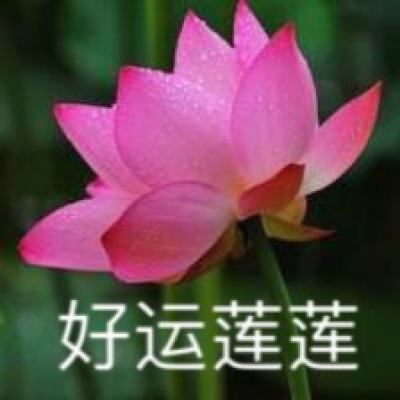 将与姬手游下载